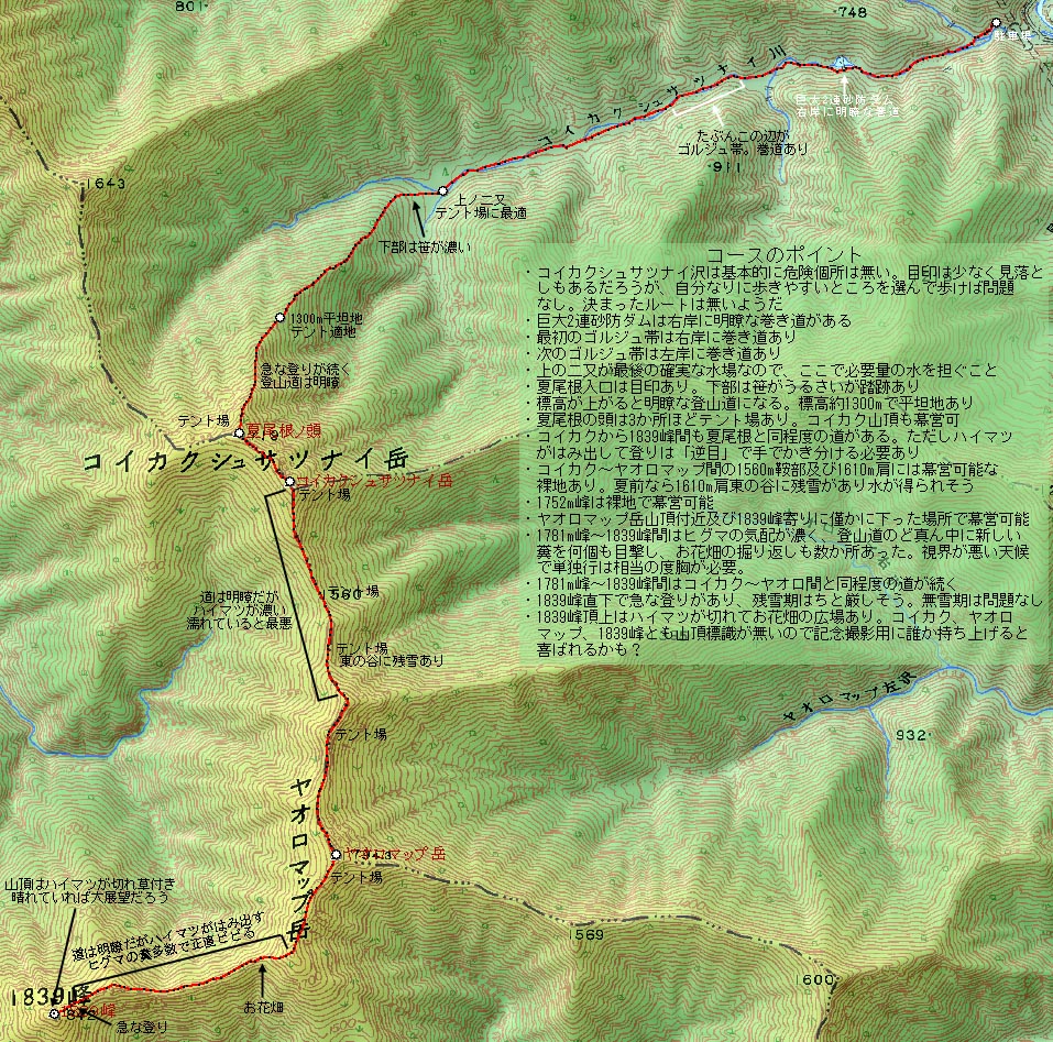 北海道 日高中部 コイカクシュサツナイ岳、ヤオロマップ岳、1839